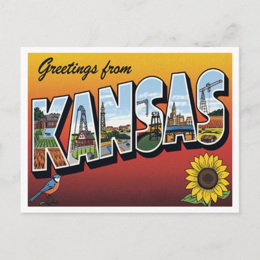 Carte Postale Salutations de Kansas Sunflower (Devant)