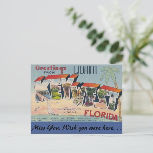 Carte Postale Salutations de Key West (Debout devant)