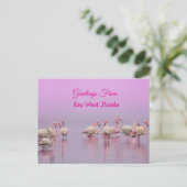 Carte Postale Salutations de Key West Floride, Flamants Roses (Debout devant)