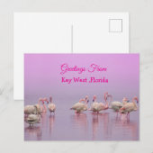 Carte Postale Salutations de Key West Floride, Flamants Roses (Devant / Derrière)