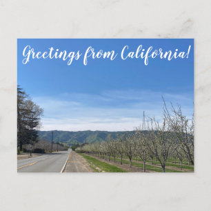 Carte Postale Salutations de la Californie : Putah Creek Road