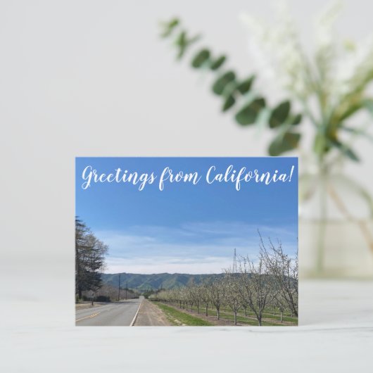 Carte Postale Salutations de la Californie : Putah Creek Road (Debout devant)