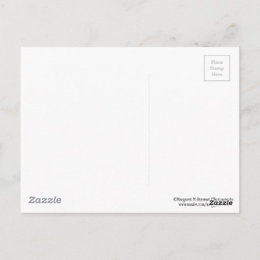 Carte Postale Salutations de la Cascade d'automne de Poconos (Dos)