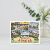 Carte Postale Salutations de la Floride, côte du golfe inférieur (Debout devant)