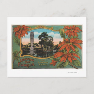 Carte Postale Salutations de la Floride l'Etat Sunshine