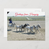 Carte Postale Salutations de la Hongrie (Devant / Derrière)