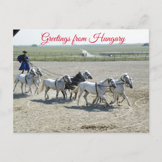 Carte Postale Salutations de la Hongrie (Devant)