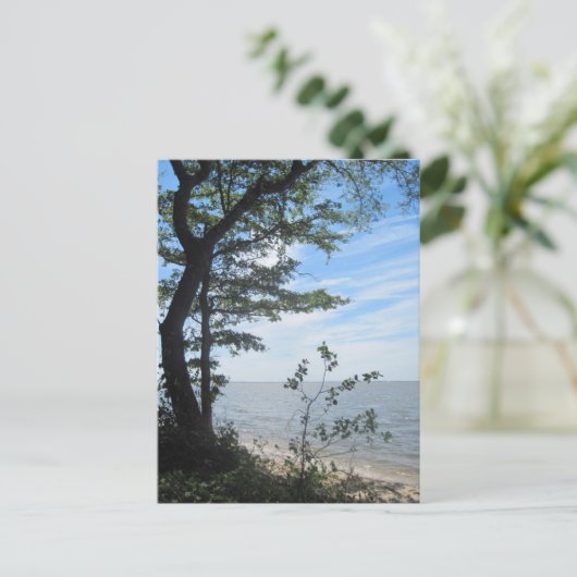 Carte Postale Salutations de la plage ! (Debout devant)