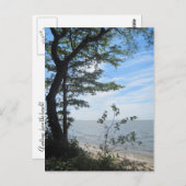 Carte Postale Salutations de la plage ! (Devant / Derrière)