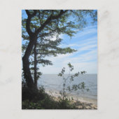 Carte Postale Salutations de la plage ! (Devant)