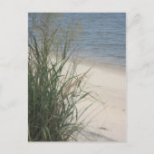 Carte Postale Salutations de la plage ! (Devant)