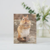Carte Postale Salutations de la Poconos Chipmunk Postcard (Debout devant)