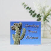Carte Postale Salutations De L'Arizona (Debout devant)