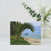 Carte Postale Salutations de Le Morne, Maurice (Debout devant)