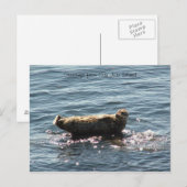 Carte Postale Salutations de l'île de San Juan (Devant / Derrière)