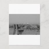 Carte Postale Salutations de Long Island, NY (Devant)