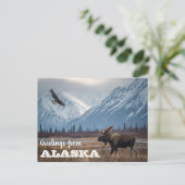 Carte Postale Salutations de l'orignal d'Alaska et de l'aigle ch (Debout devant)