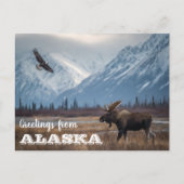 Carte Postale Salutations de l'orignal d'Alaska et de l'aigle ch (Devant)