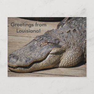 Carte Postale Salutations de Louisiane