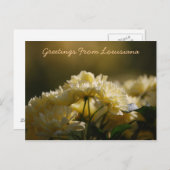 Carte Postale Salutations De Louisiane (Devant / Derrière)