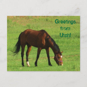 Carte Postale Salutations de l'Utah !