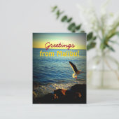 Carte Postale Salutations de Malibu ! (Debout devant)