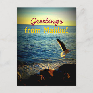 Carte Postale Salutations de Malibu !