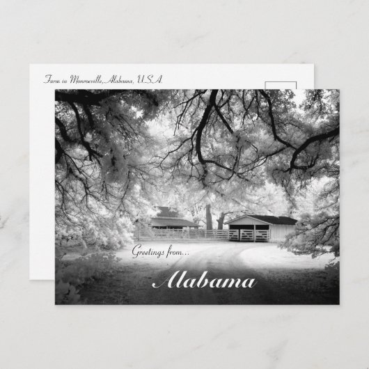 Carte Postale Salutations de Monroeville Alabama USA Design (Devant / Derrière)