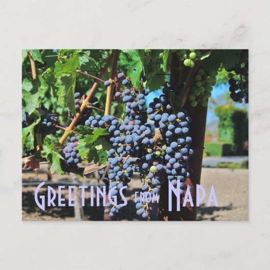 Carte Postale Salutations de Napa Valley California (Devant)