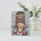 Carte Postale Salutations de Oaxaca (Debout devant)