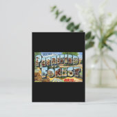 Carte Postale Salutations de Petrified Forest Arizona (Debout devant)