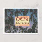 Carte Postale Salutations de Pine Tree State, Maine Travel (Devant)