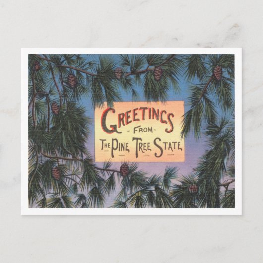 Carte Postale Salutations de Pine Tree State, Maine Travel (Devant)