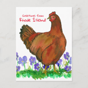 Carte Postale Salutations De Rhode Island Red Hen Violets