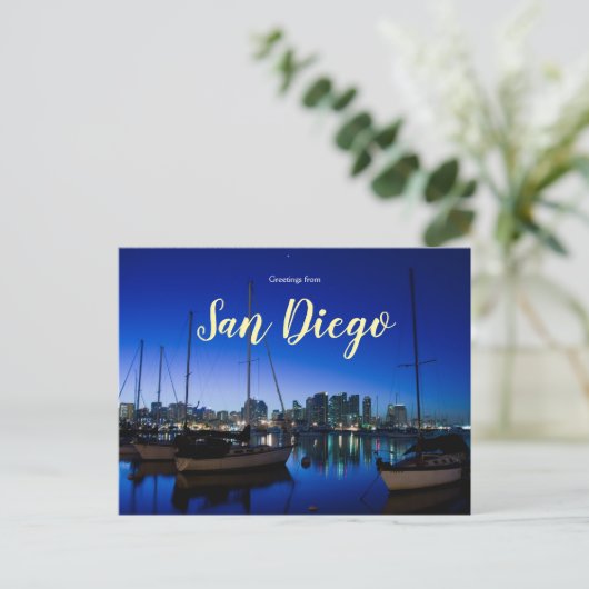 Carte Postale Salutations de San Diego Postcard Bay Californie (Debout devant)