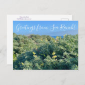 Carte Postale Salutations de Sea Ranch ! (Devant / Derrière)