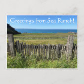 Carte Postale Salutations de Sea Ranch (Devant)