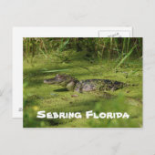 Carte Postale Salutations de Setake Florida (Devant / Derrière)
