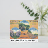 Carte Postale Salutations de Skyline Drive, Virginie (Debout devant)