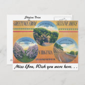 Carte Postale Salutations de Skyline Drive, Virginie (Devant / Derrière)