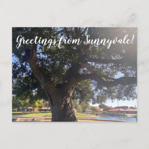 Carte Postale Salutations de Sunnyvale !