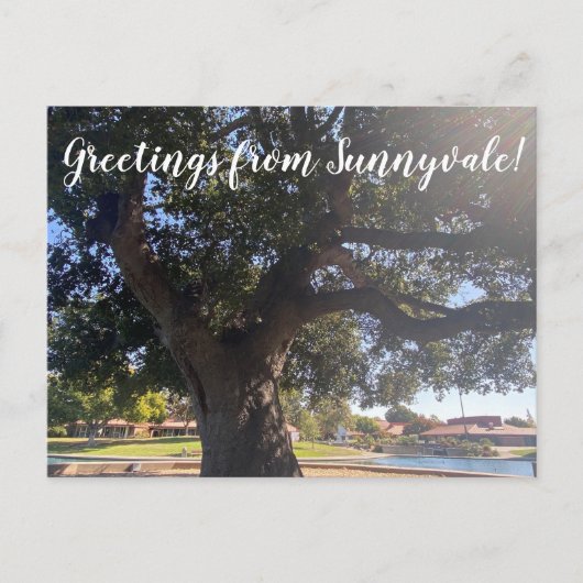 Carte Postale Salutations de Sunnyvale ! (Devant)