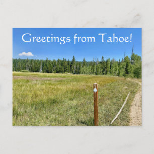 Carte Postale Salutations de Tahoe !