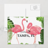 Carte Postale Salutations de Tampa, Floride (Devant / Derrière)