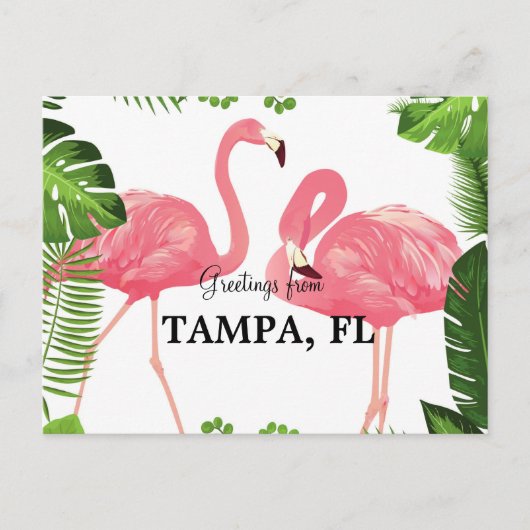 Carte Postale Salutations de Tampa, Floride (Devant)