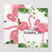 Carte Postale Salutations de Tampa, Floride (Devant / Derrière)