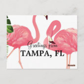 Carte Postale Salutations de Tampa, Floride (Dos)