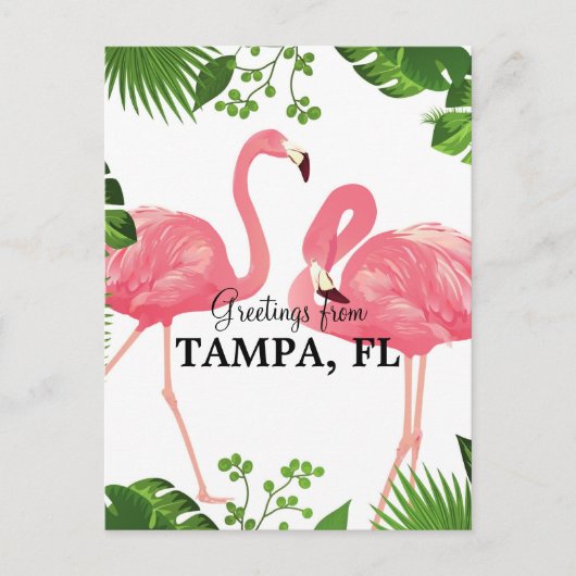 Carte Postale Salutations de Tampa, Floride (Devant)