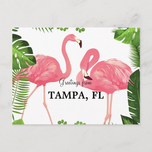 Carte Postale Salutations de Tampa, Floride (Devant)