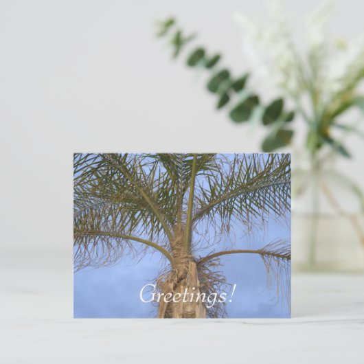 Carte Postale Salutations de vacances Palm Tree (Debout devant)